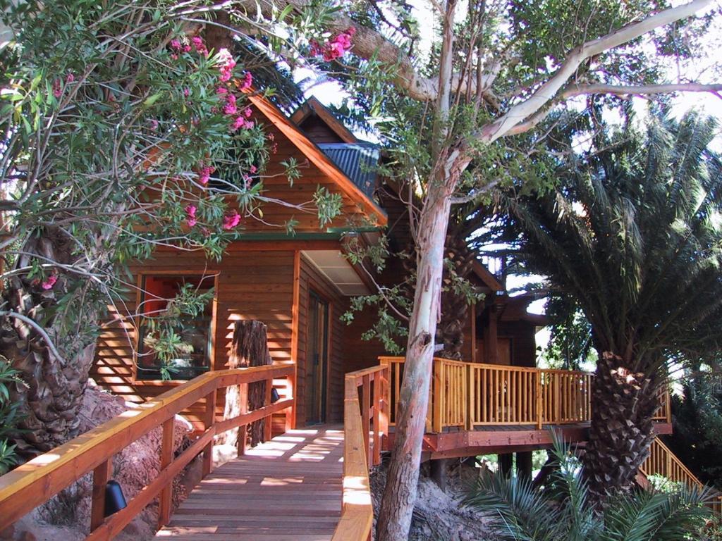 Lezard Bleu Guest House Cape Town Dış mekan fotoğraf