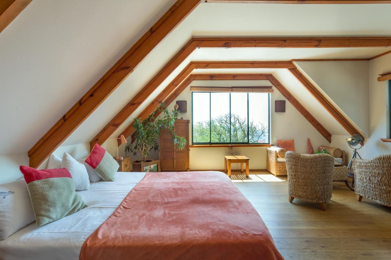 Lezard Bleu Guest House Cape Town Dış mekan fotoğraf