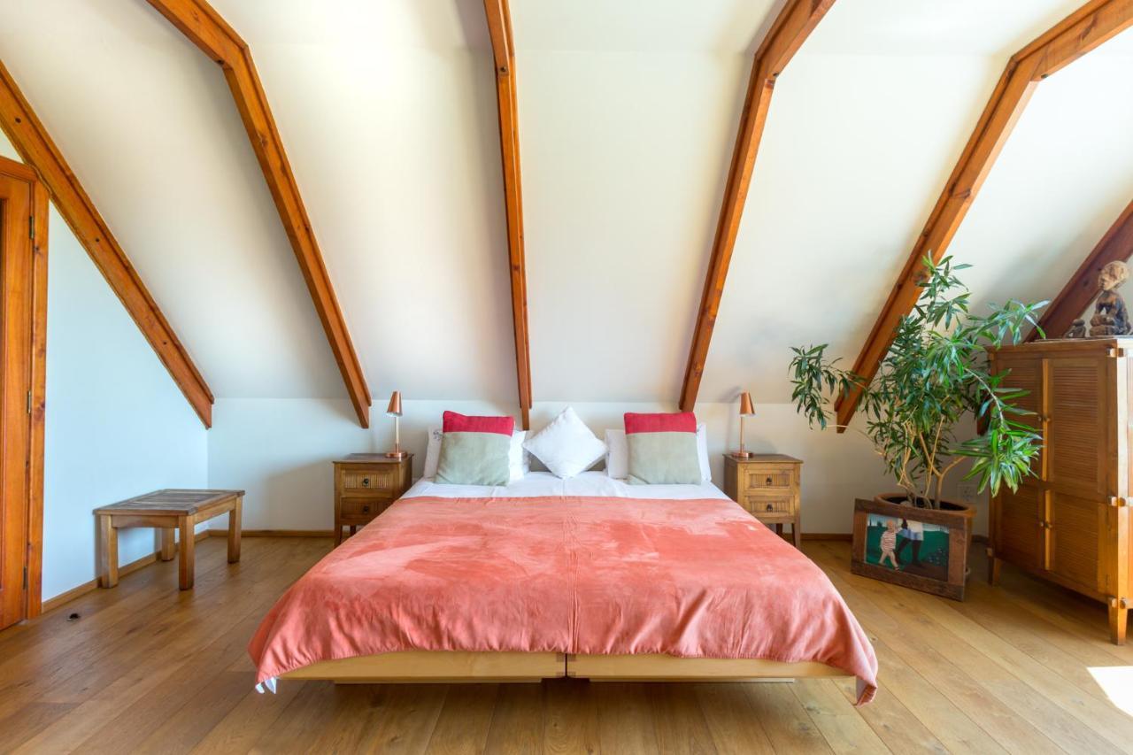 Lezard Bleu Guest House Cape Town Dış mekan fotoğraf